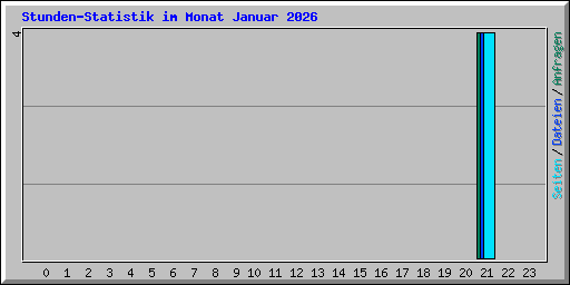 Stunden-Statistik im Monat Januar 2026